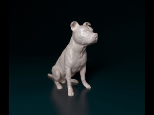 Staffordshire bull terrier sitting 3D Print Model