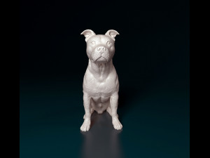 Staffordshire bull terrier sitting 3D Принт Модель