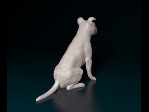 Staffordshire bull terrier sitting 3D Принт Модель