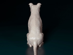Staffordshire bull terrier sitting 3D Принт Модель