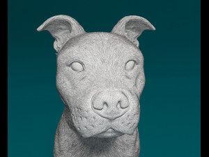 Staffordshire bull terrier sitting 3D Принт Модель