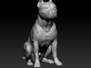 Staffordshire bull terrier sitting 3D Принт Модель