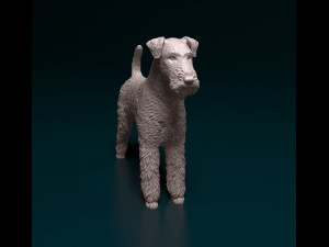 Airedale terrier Modelo de Impressão 3D