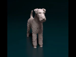 Airedale terrier 3D Print Model