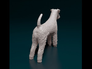 Airedale terrier Modelo de Impressão 3D