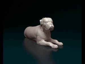 American Bulldog lying down 3D Print Model