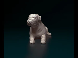 American Bulldog lying down 3D Print Model