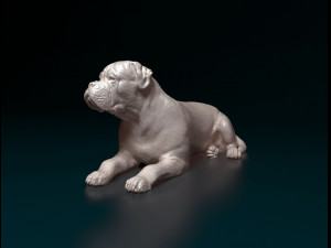 American Bulldog lying down 3D Принт Модель