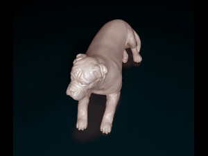 American Bulldog lying down 3D Принт Модель
