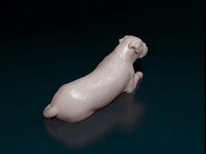 American Bulldog lying down 3D Print Model