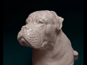 American Bulldog lying down 3D Print Model