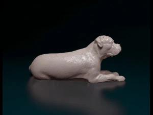 American Bulldog lying down 3D Print Model