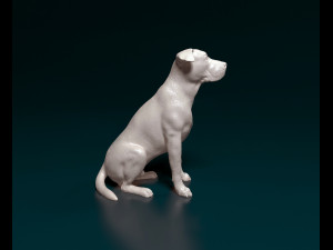 American Bulldog 3D Print Model
