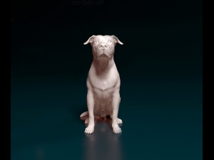 American Bulldog 3D Print Model