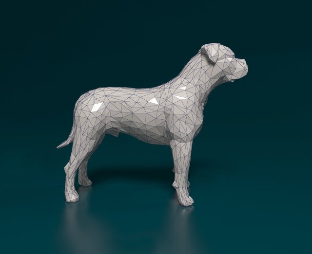 American Bulldog polygonal 3D-printmodel .c4d .max .obj .3ds .fbx .stl .blend 