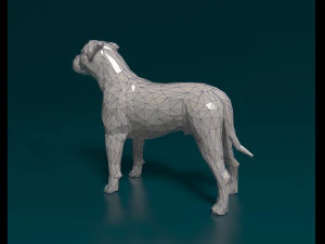 American Bulldog polygonal 3D Print Model