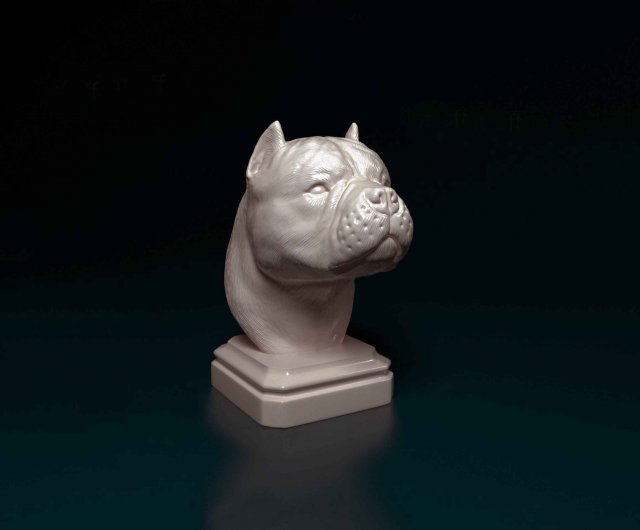 American Bully bust 3D प्रिंट मॉडल .c4d .max .obj .3ds .fbx .stl .blend 