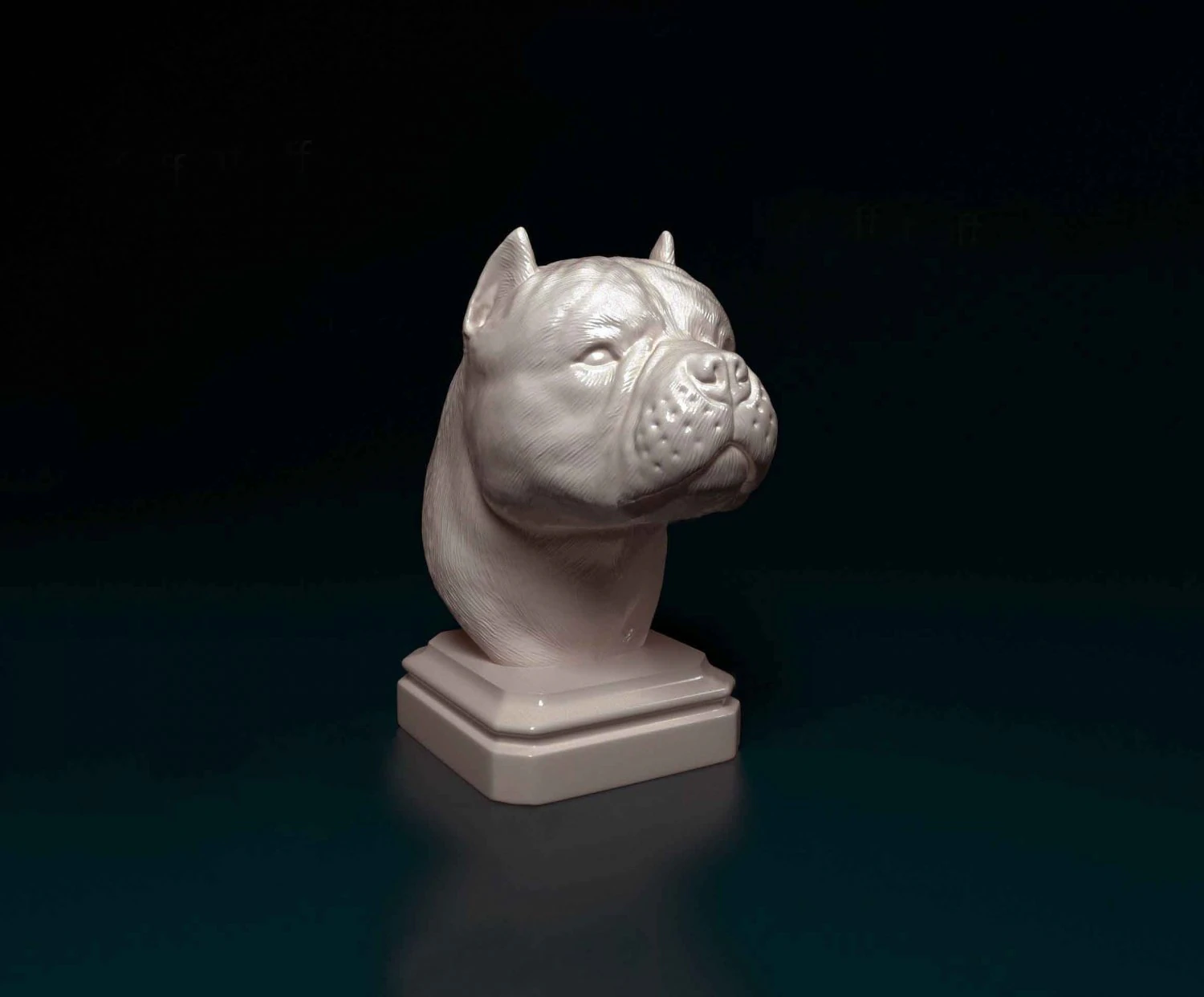 American Bully bust 3D Print Model .c4d .max .obj .3ds .fbx .stl .blend 