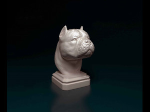 American Bully bust 3D Print Model