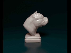 American Bully bust 3D प्रिंट मॉडल
