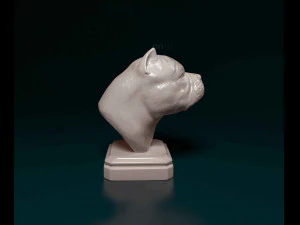 American Bully bust 3D Print Model