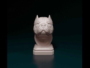 American Bully bust 3D प्रिंट मॉडल