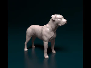 Stojący buldog amerykański Model do druku 3D