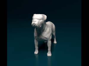 American Bulldog standing 3D Print Model