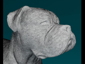 American Bulldog standing 3D Print Model