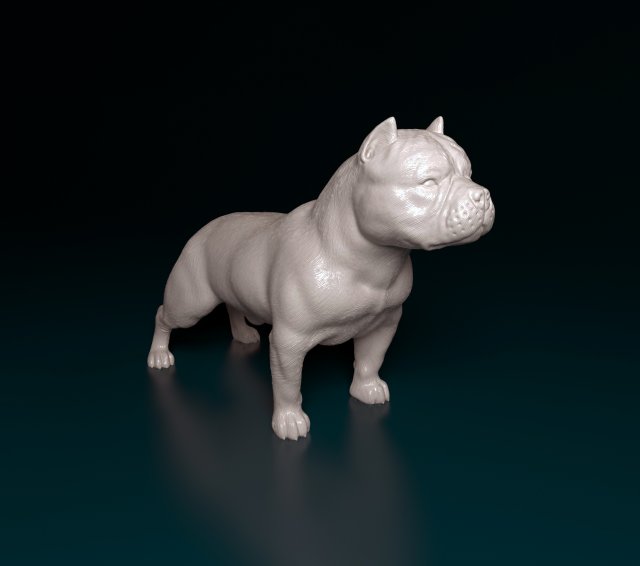 American Bully 3D Принт Модель .c4d .max .obj .3ds .fbx .stl .blend 