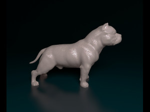 American Bully 3D Принт Модель