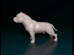 American Bully 3D Print Model