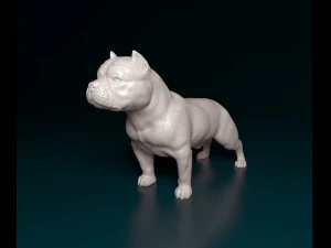 American Bully 3D Print Model