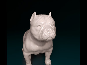 American Bully 3D Принт Модель