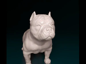 American Bully 3D Print Model