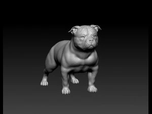 American Bully 3D Print Model