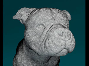 American Bully 3D Print Model