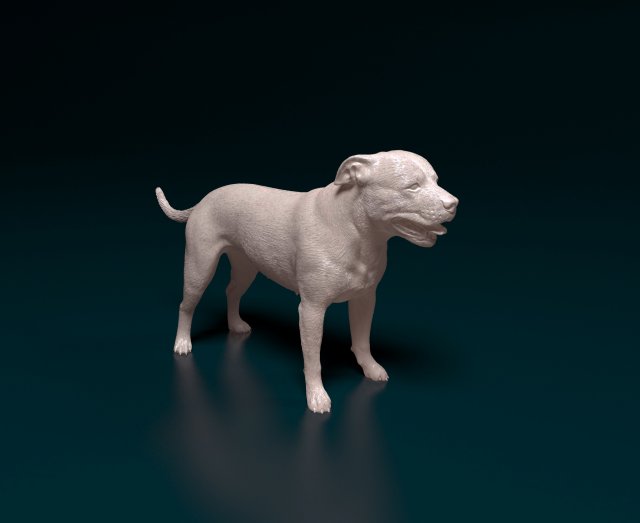 Staffordshire bull terrier 4 Model Cetak 3D .c4d .max .obj .3ds .fbx .stl .blend 