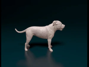 Staffordshire bull terrier 4 3D Print Model