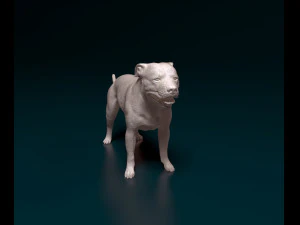 Staffordshire bull terrier 4 3D Print Model