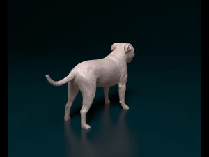 Staffordshire bull terrier 4 3D Print Model