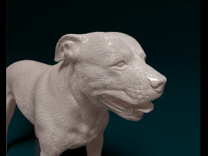 Staffordshire bull terrier 4 Model Cetak 3D