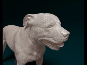 Staffordshire bull terrier 4 3D Print Model