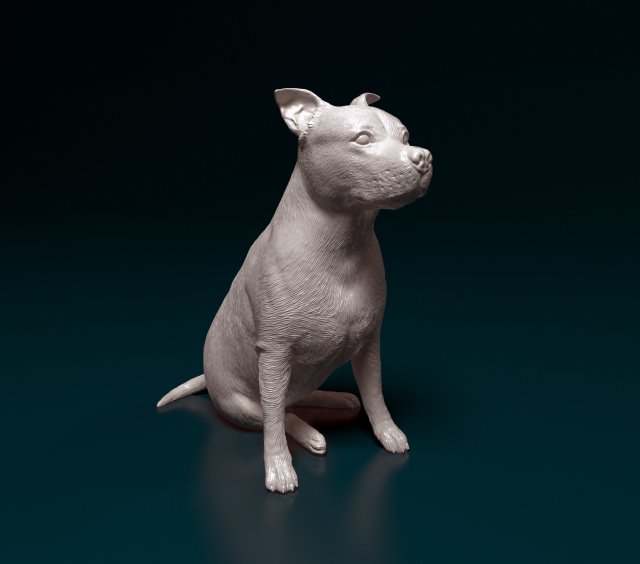 Amstaff sitting 3Dプリントモデル .c4d .max .obj .3ds .fbx .stl .blend 