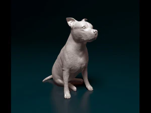 Amstaff seduto Modello di stampa 3D