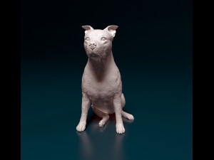 Amstaff sitting 3Dプリントモデル
