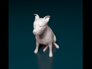 Amstaff sitting 3Dプリントモデル