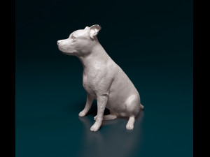 Amstaff sitting 3Dプリントモデル