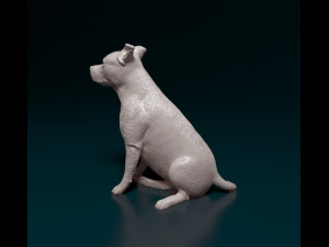 Amstaff sitting 3Dプリントモデル