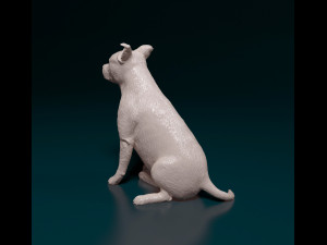 Amstaff sitting 3Dプリントモデル